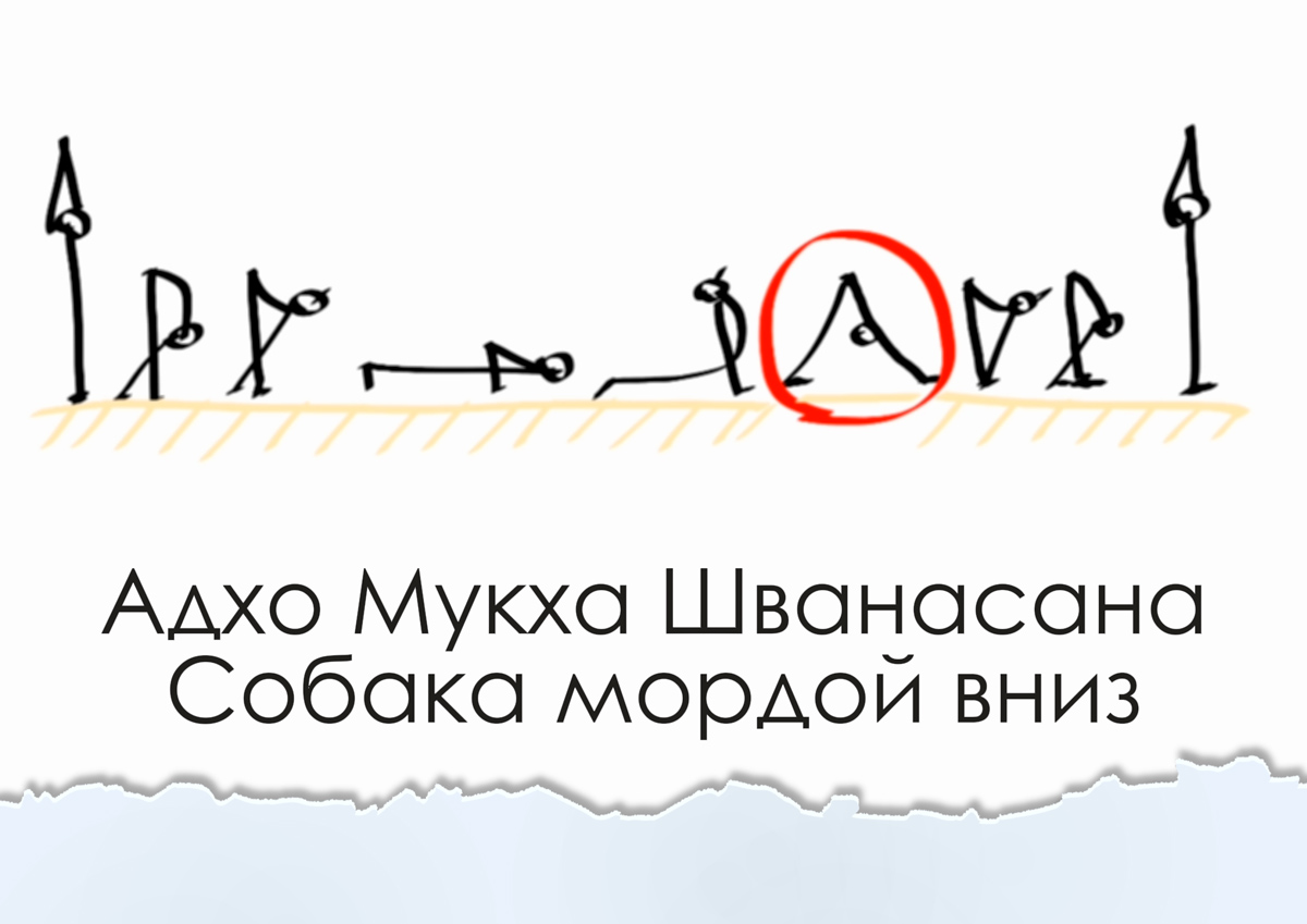 Пиктограммы асан Адхо Мукха Шванасана в комплексе с другими асанами