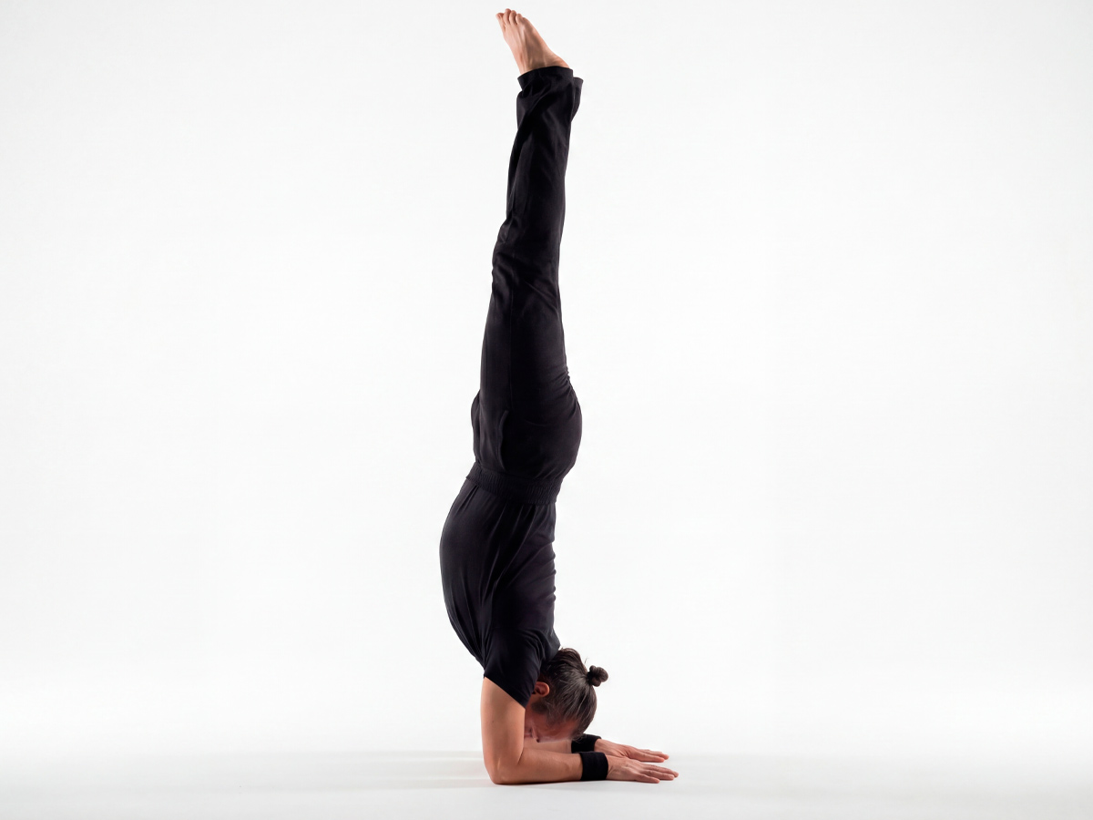 Pincha Mayurasana Пинча Маюрасана. Стойка на предплечьях. Поза хвоста (пера) павлина.